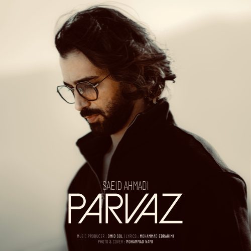 دانلود آهنگ جدید سعید احمدی با عنوان پرواز